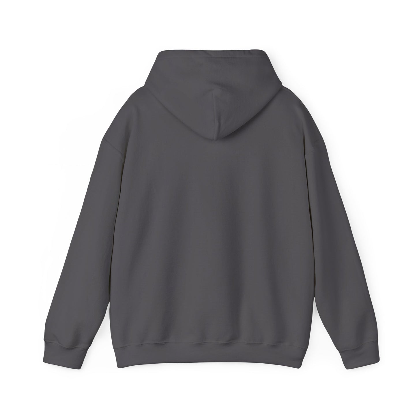 BRIDGE YTH - BASIC HOODIE