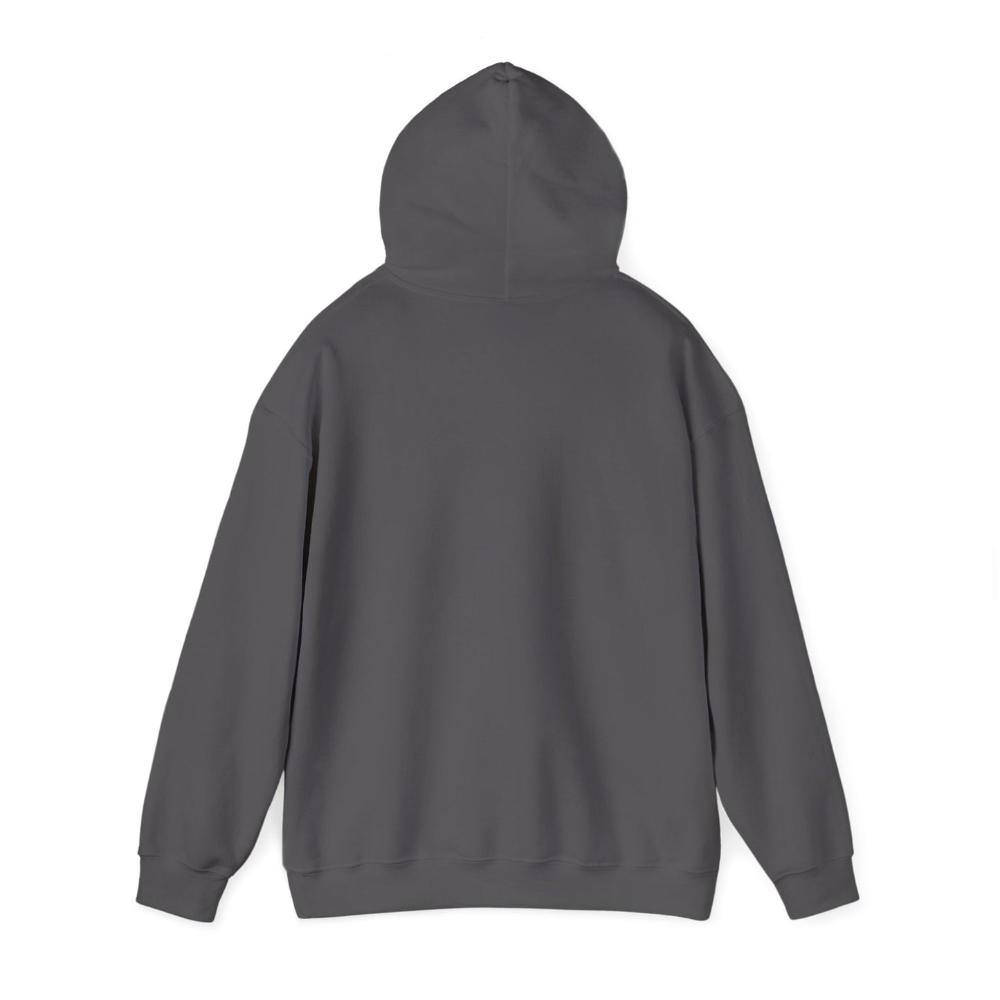 BRIDGE YTH - BASIC HOODIE