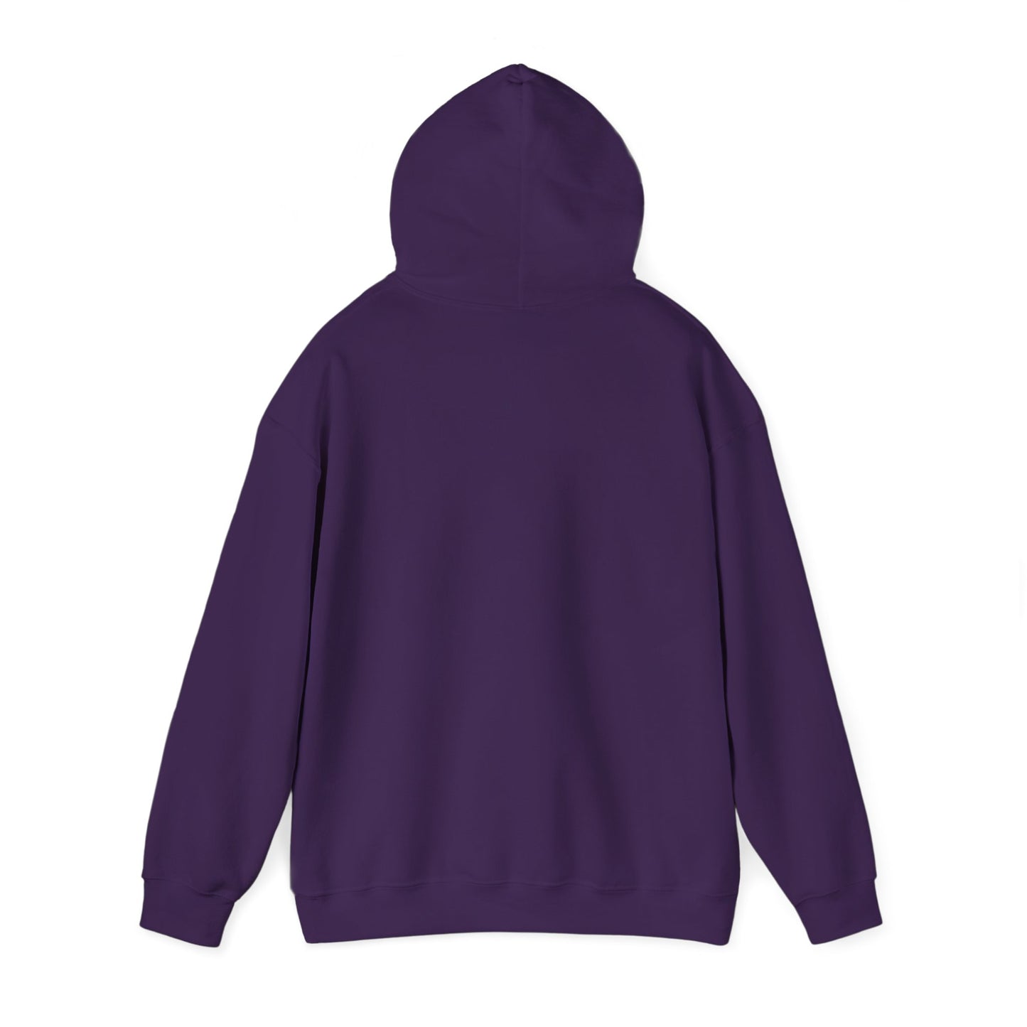 BRIDGE YTH - BASIC HOODIE