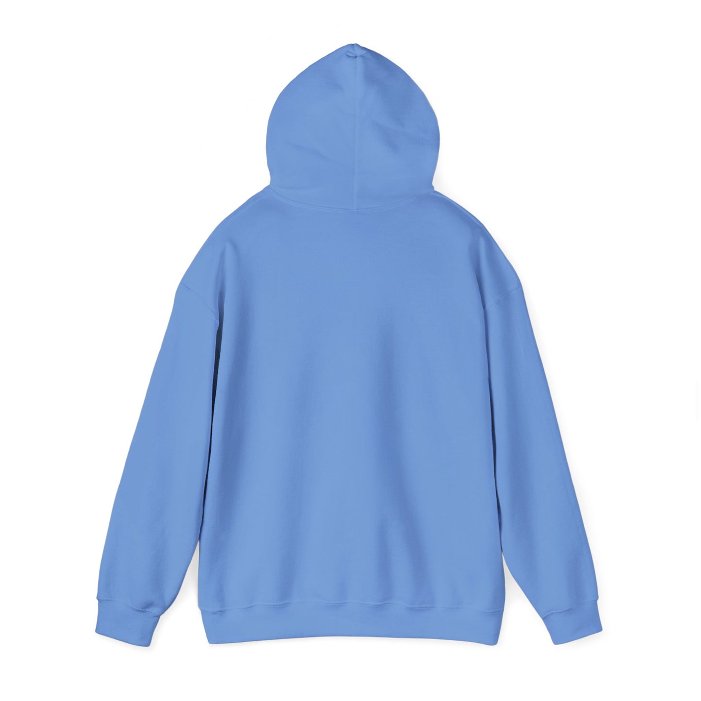 BRIDGE YTH - BASIC HOODIE