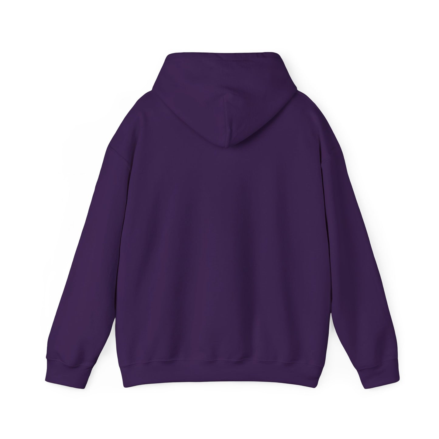 BRIDGE YTH - BASIC HOODIE