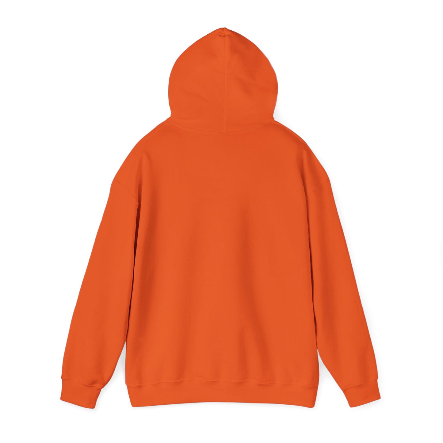 BRIDGE YTH - BASIC HOODIE