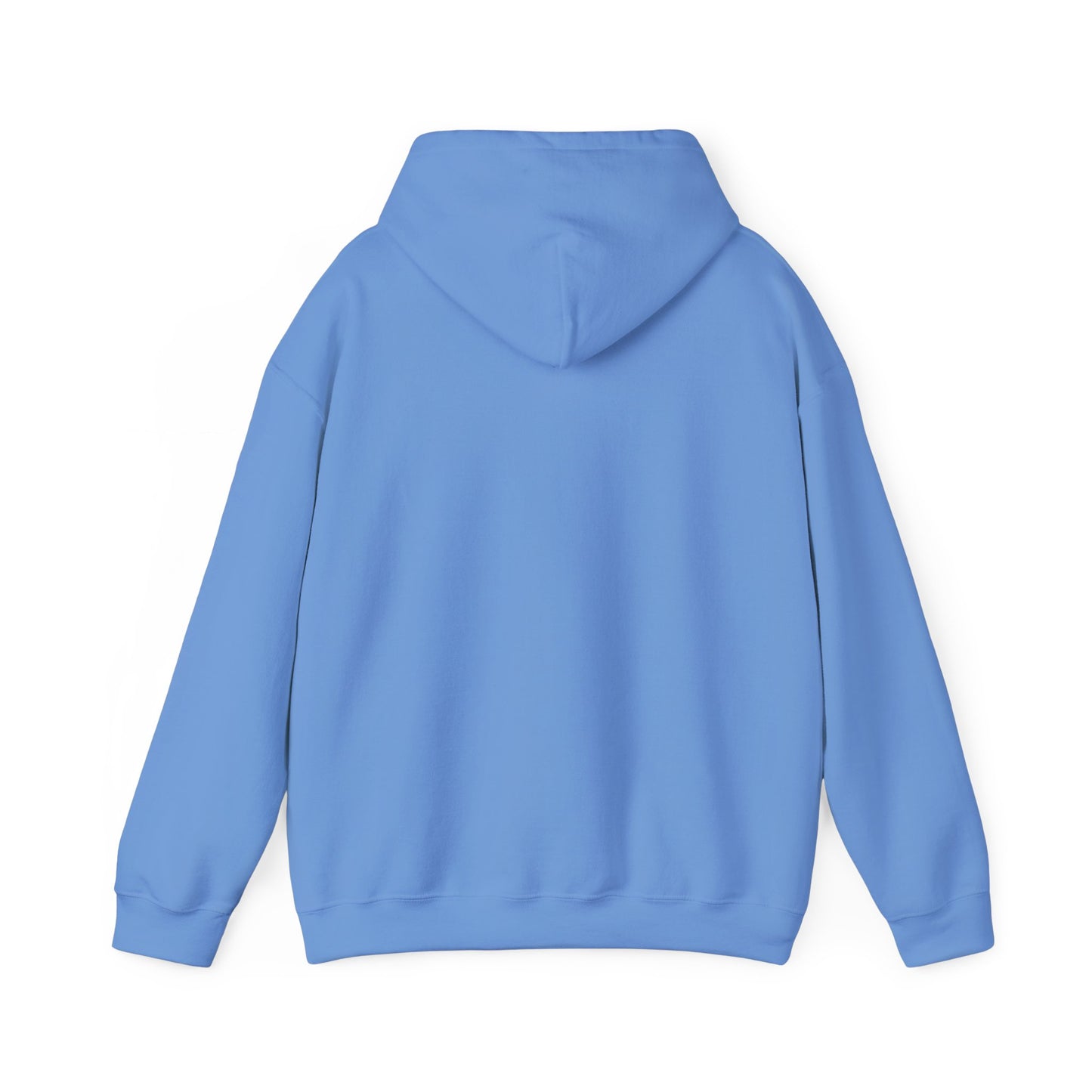 BRIDGE YTH - BASIC HOODIE