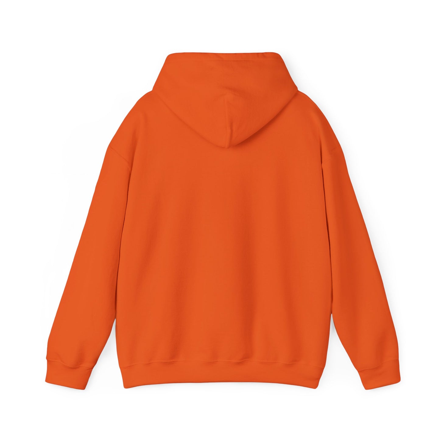 BRIDGE YTH - BASIC HOODIE